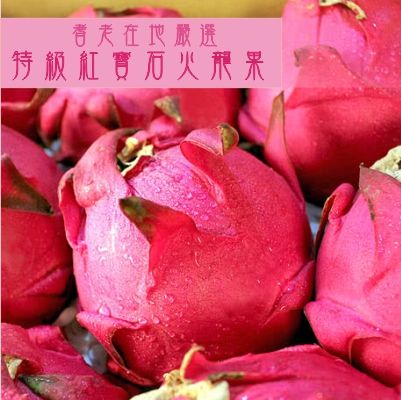 紅寶石火龍果精品禮盒【冬季限定】